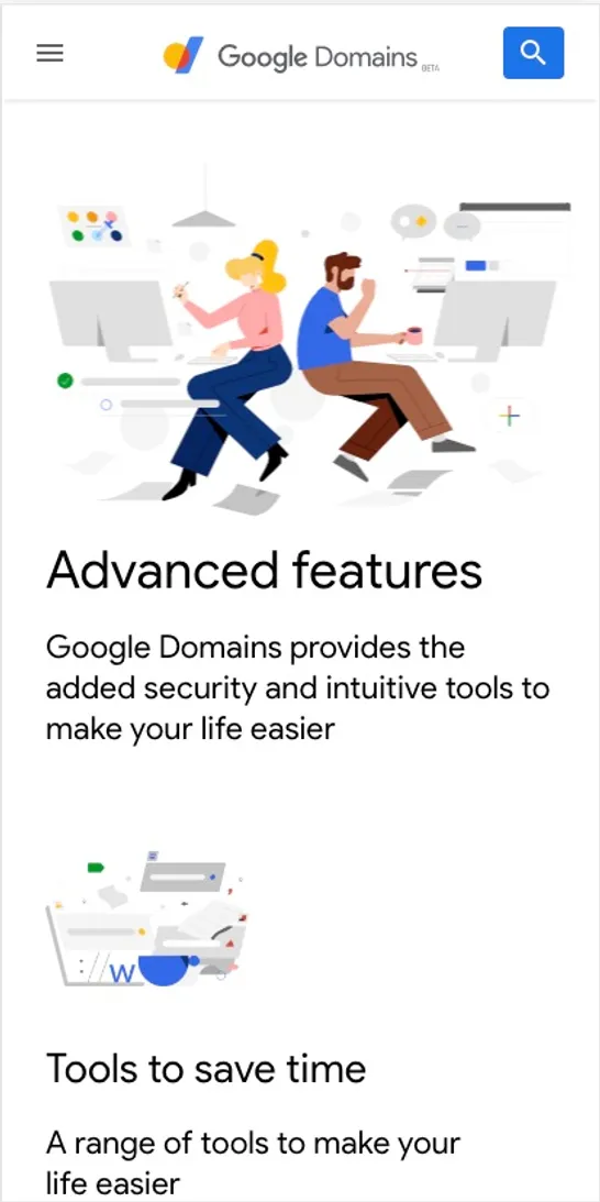 Google Domains Interface