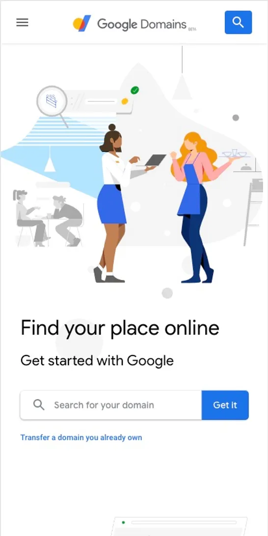 Google Domains Interface