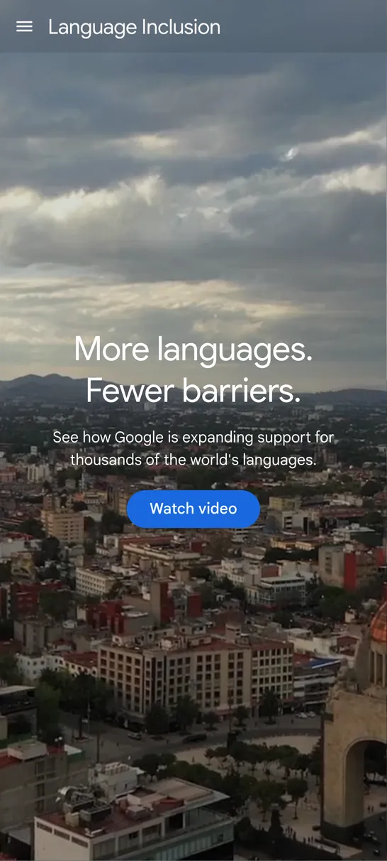 Language Inclusion Interface